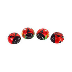 Coccinelle Praline Dulciar 1kg