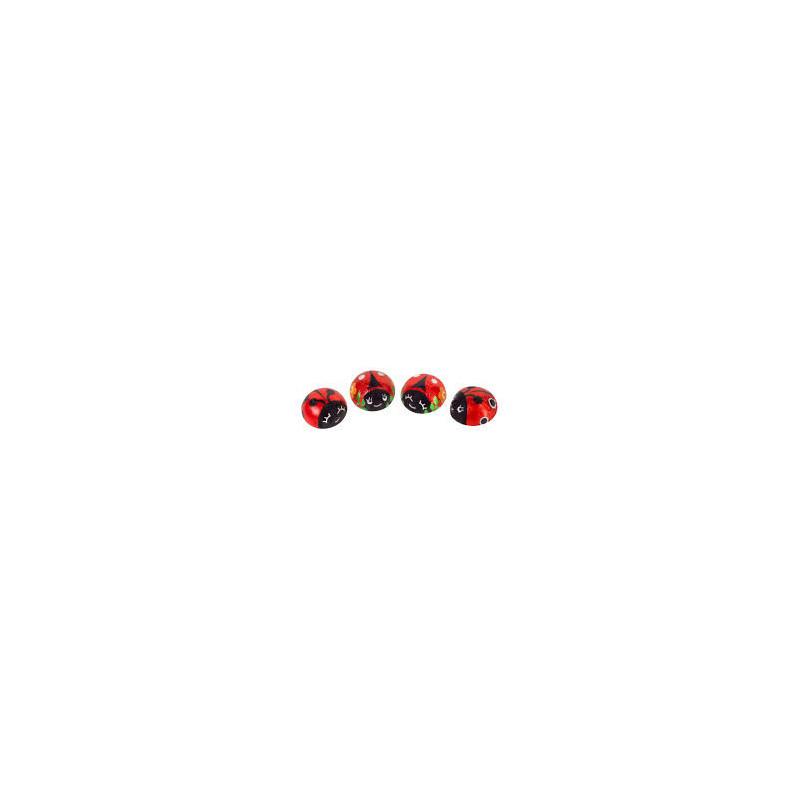 Coccinelle Praline Dulciar 1kg