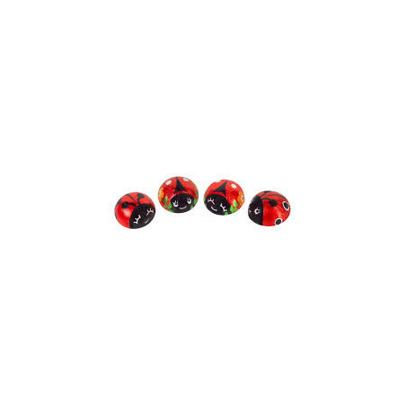 Coccinelle Praline Dulciar 1kg
