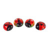 Coccinelle Praline Dulciar 1kg