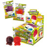 Gummy Brainz Gommose 50gr x 12pz Casa del Dolce