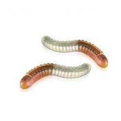Serpenti Gommosi alla Cola Gelco 2kg