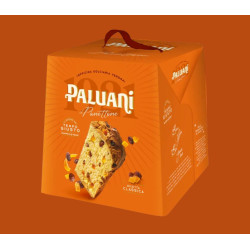 Panettone Classico Paluani 700gr